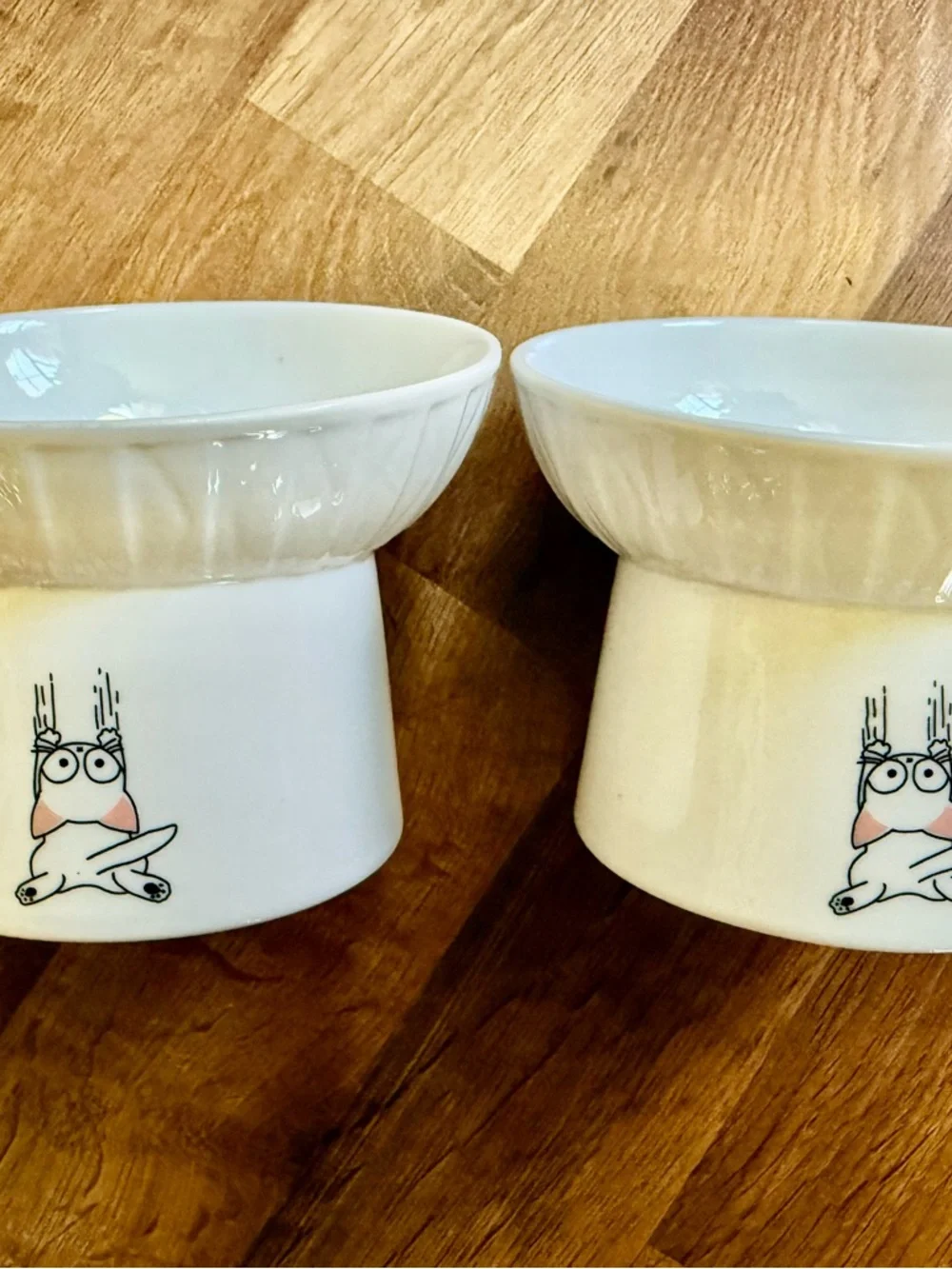 White Ceramic Pet Food Bowl with Fish Bone Design
